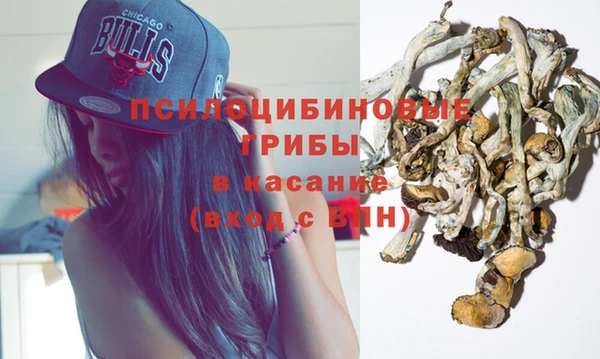 СК Алзамай