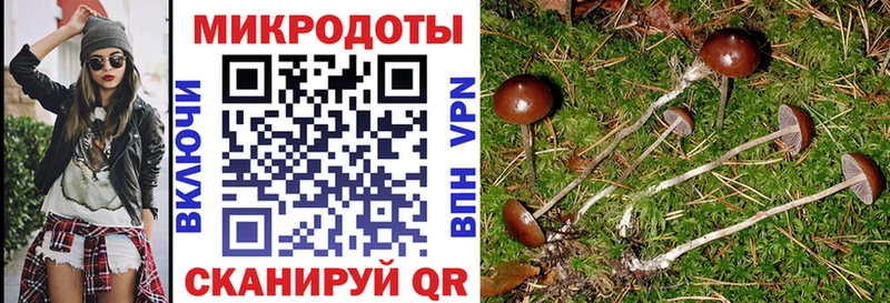 магазин  наркотиков  Кореновск  Псилоцибиновые грибы GOLDEN TEACHER 