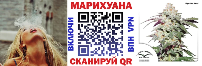 купить наркотик  Кореновск  Канабис сатива 